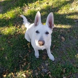 Meet your Posher, Lindsey